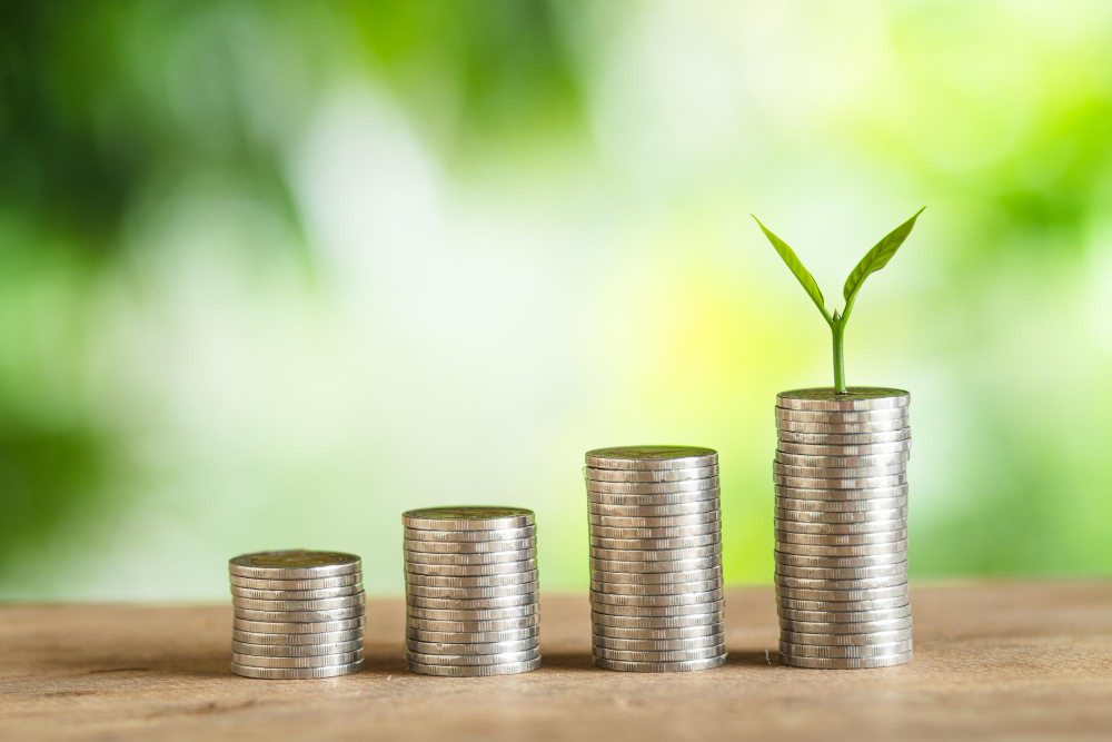 Financiación sostenibilidad