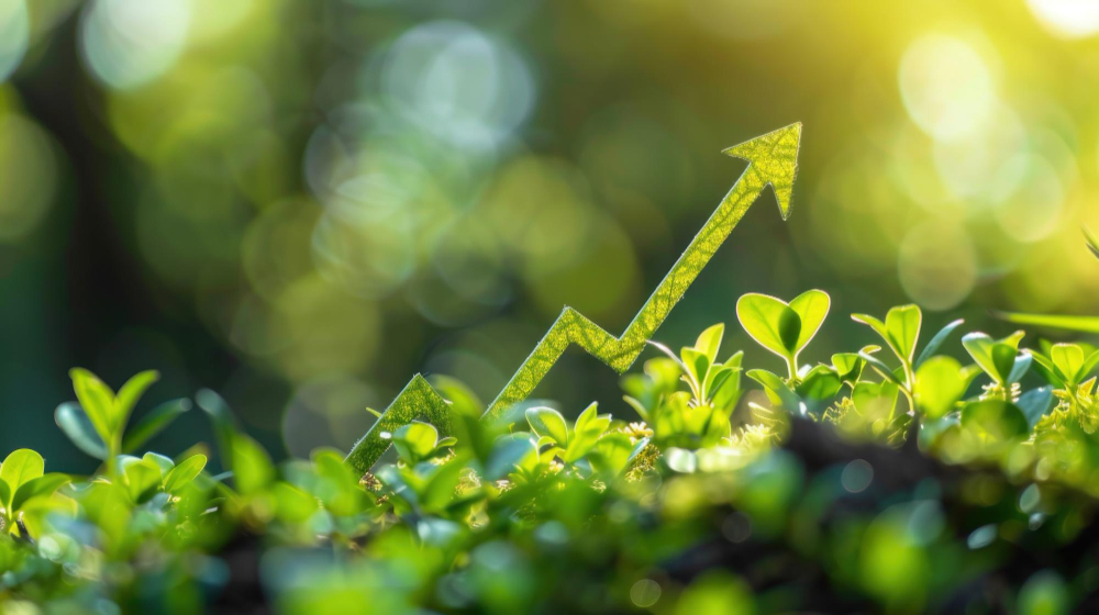 Crecimiento sostenible