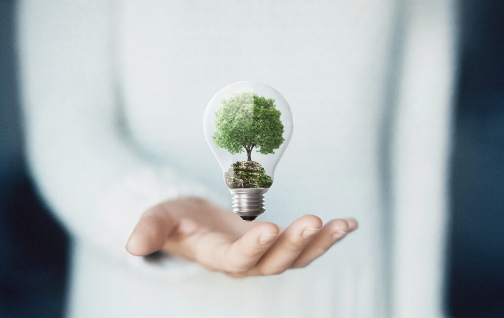 Mujer mostrando a cámara una bombilla con un árbol dentro