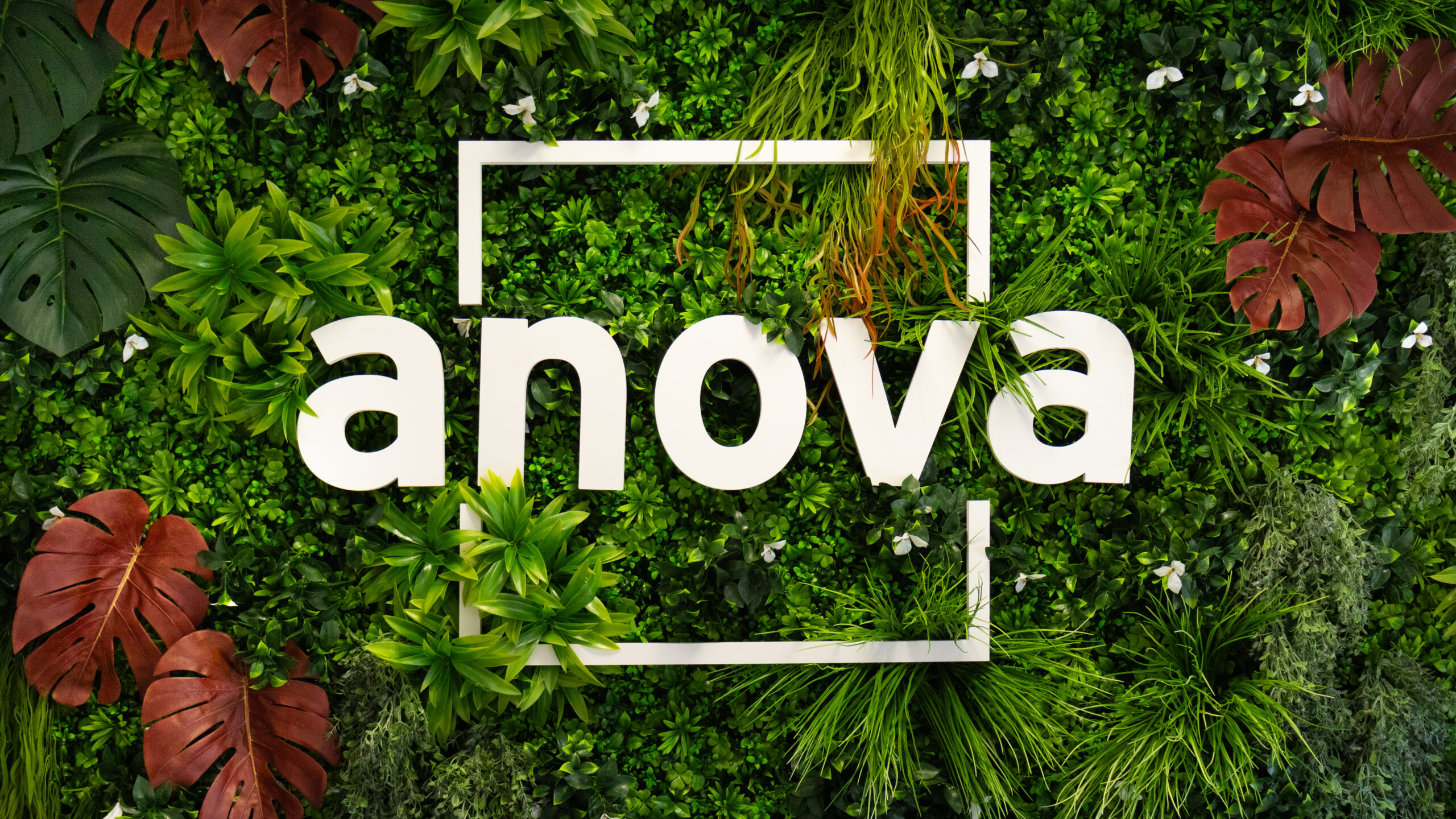 Anova logo sobre jardín vertical