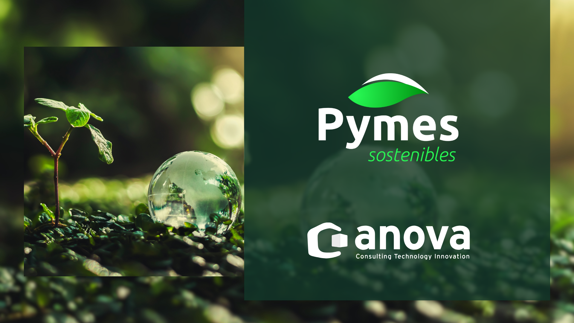 Sostenibilidad para pymes