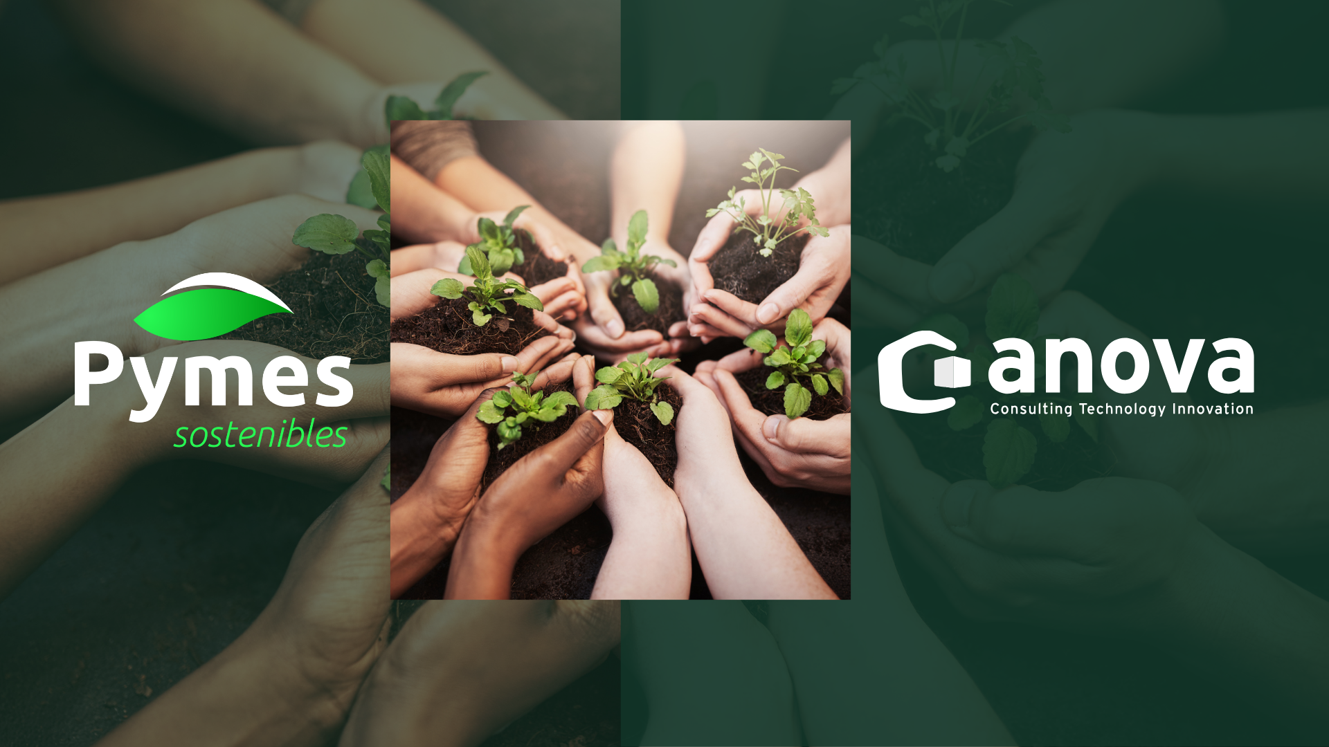 Sostenibilidad. Manos sujetando tierra con brotes